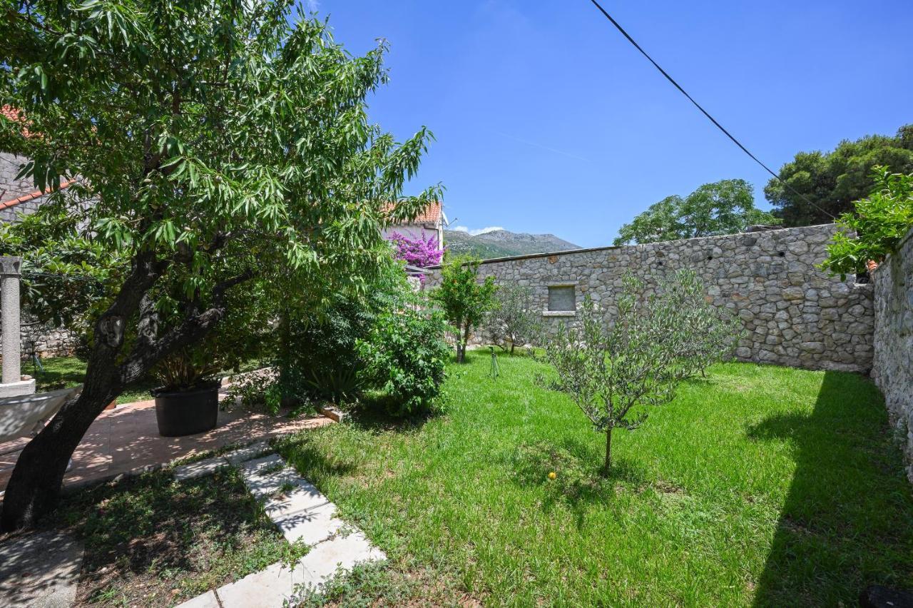 Apartment La Rocca Dubrovnik Dış mekan fotoğraf